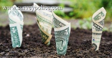 Paypal money in soil
