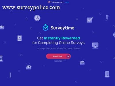 surveytime website