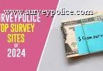 Top Survey Sites 2024 text next to wad of cash