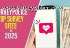 Top Survey Sites 2025 text next to person holding phone and cash