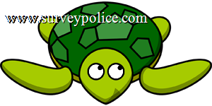 Tortoise